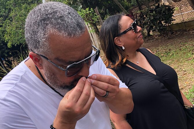 Grenada Spice Gardens, Rum & Chocolate Tour (Full/Half Day) - Annandale Falls: pleasant, but not everyone’s priority