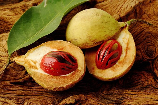Grenada Spice Gardens, Rum & Chocolate Tour (Full/Half Day) - The Carenage and St. George’s: a scenic urban pause