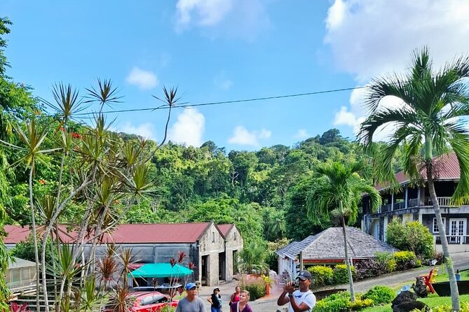 Grenada Spice with Rum and Cocoa Heritage Tour - Why this Grenada day tour works