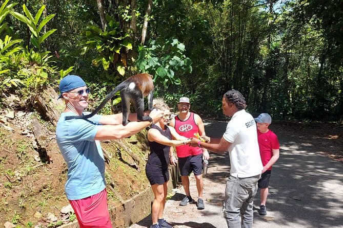 Grenada Spice with Rum and Cocoa Heritage Tour - Kevon’s guiding style is part of the value