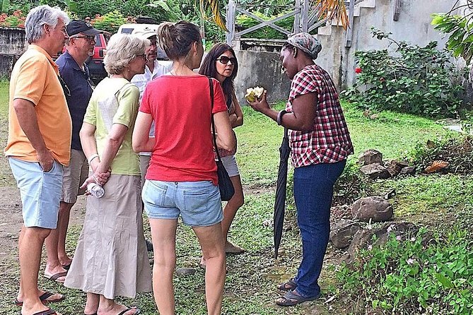 Grenada West Coast: Waterfalls, Chocolate & Rum Half-Day Tour - Why the guide can make or break the day