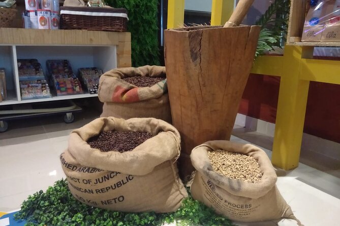 Guided Shopping Tour - Rum tasting, chocolate factory, Cigar factory - Pottery, paintings, and ordinary souvenirs