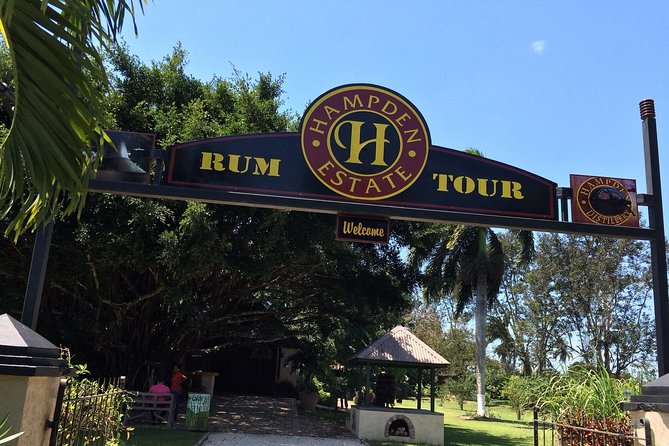 Hampden Estate Rum Tour and Lunch from Falmouth - Why Hampden Estate feels different from a standard tasting