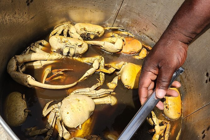 Jamaican Street Food and Rum Tasting Private Tour - Why the private format is worth considering