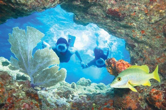 Key West Rum and Reggae: Reef Snorkel Adventure and Sunset Sail - How the $59.95 price works for you