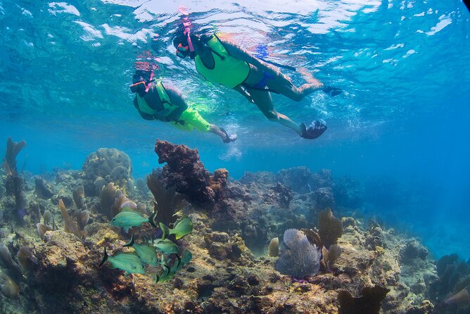 Key West Rum and Reggae: Reef Snorkel Adventure and Sunset Sail - Families, first-time snorkelers, and non-swimmers