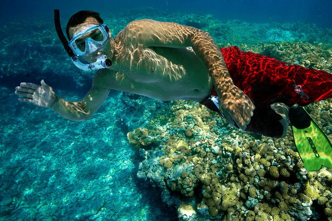 Key West Rum and Reggae: Reef Snorkel Adventure and Sunset Sail - Getting ready with gear, instructions, and flotation support