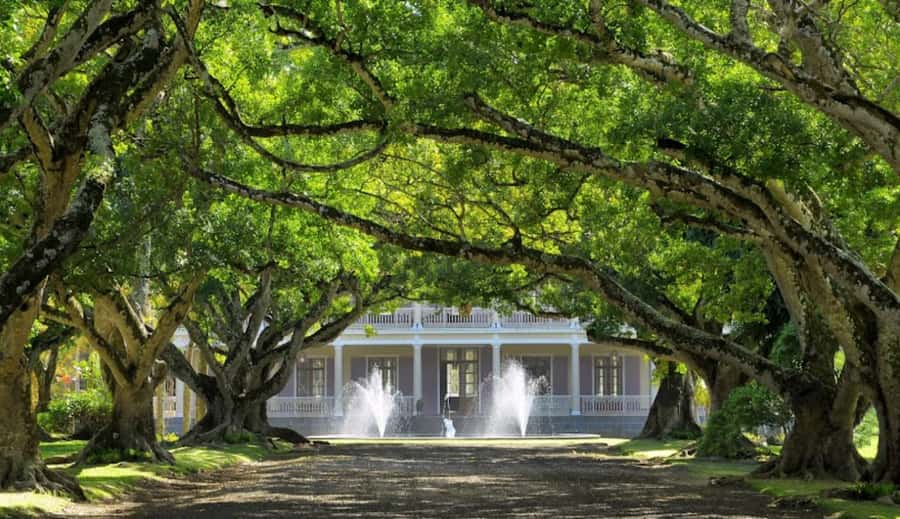 local Market,Botanical garden,Rum tasting & authentic Lunch - Fort Adelaide Connects the Capital to Its Military Past