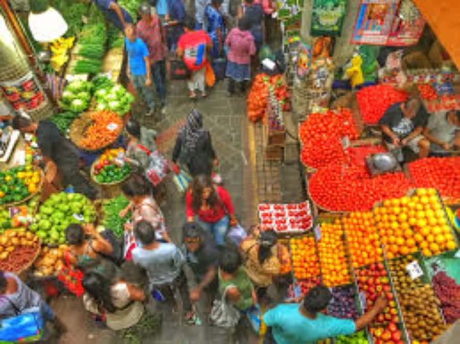 local Market,Botanical garden,Rum tasting & authentic Lunch - Château de Labourdonnais Brings Sugar, Gardens, and Rum Together