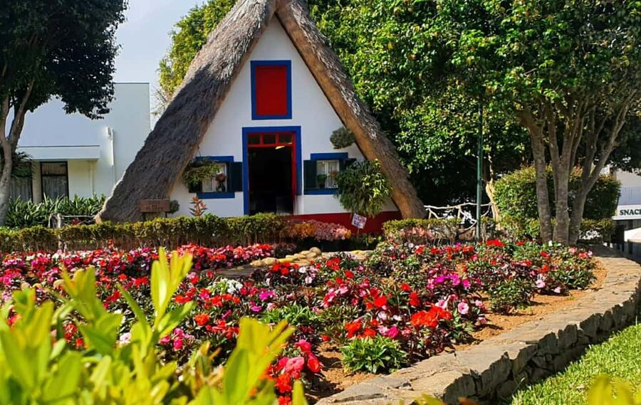 Madeira: East Island Tour with Rum Tasting - Why this east-side route works well