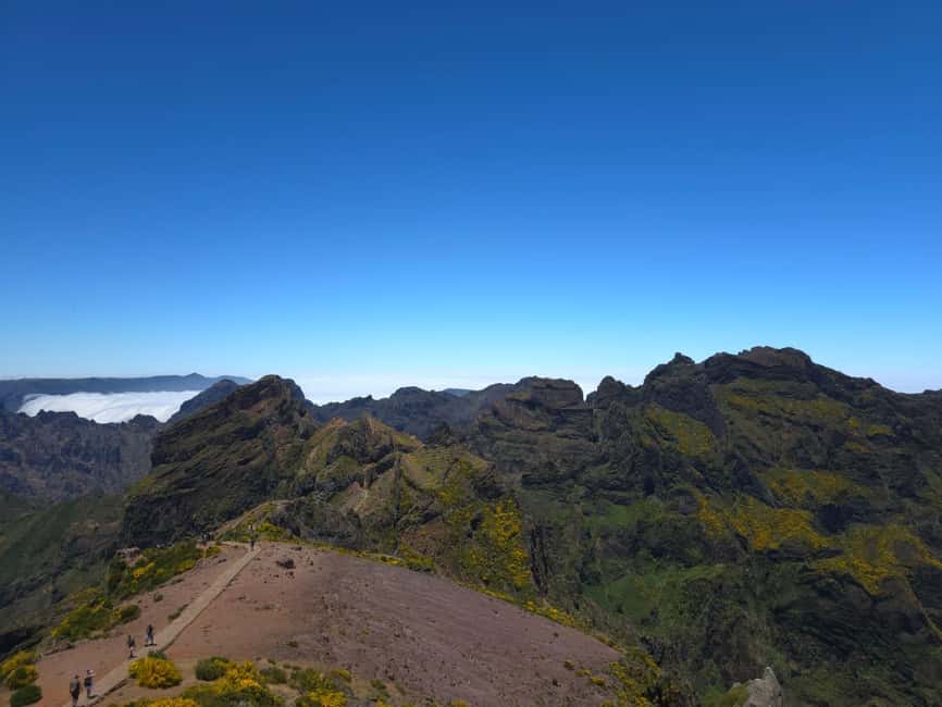 Madeira: East Island Tour with Rum Tasting - Ribeiro Frio adds forest and quieter scenery