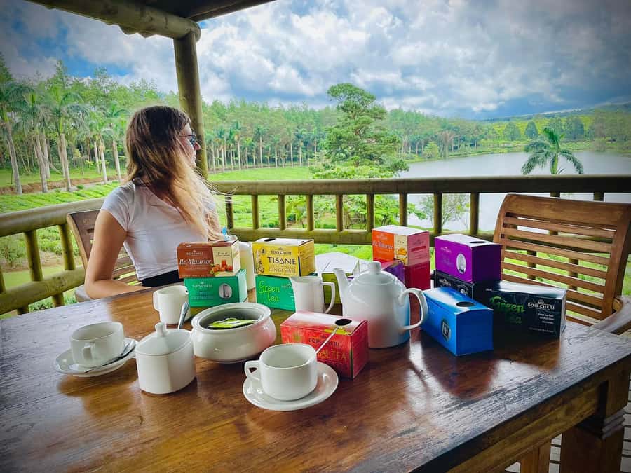 Mauritius: Tea, Rum and Vanilla Route with Lunch and Pickup - Why this route works so well