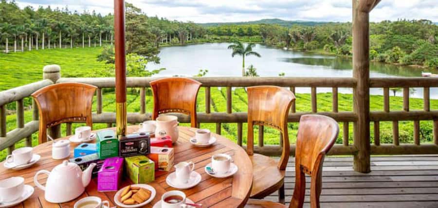Mauritius: Tea, Rum and Vanilla Route with Lunch and Pickup - Rum tasting and the final flavor of the day