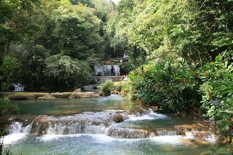 Montego Bay: YS Falls and Appleton Rum Private Tour by Van - Five things to know before booking