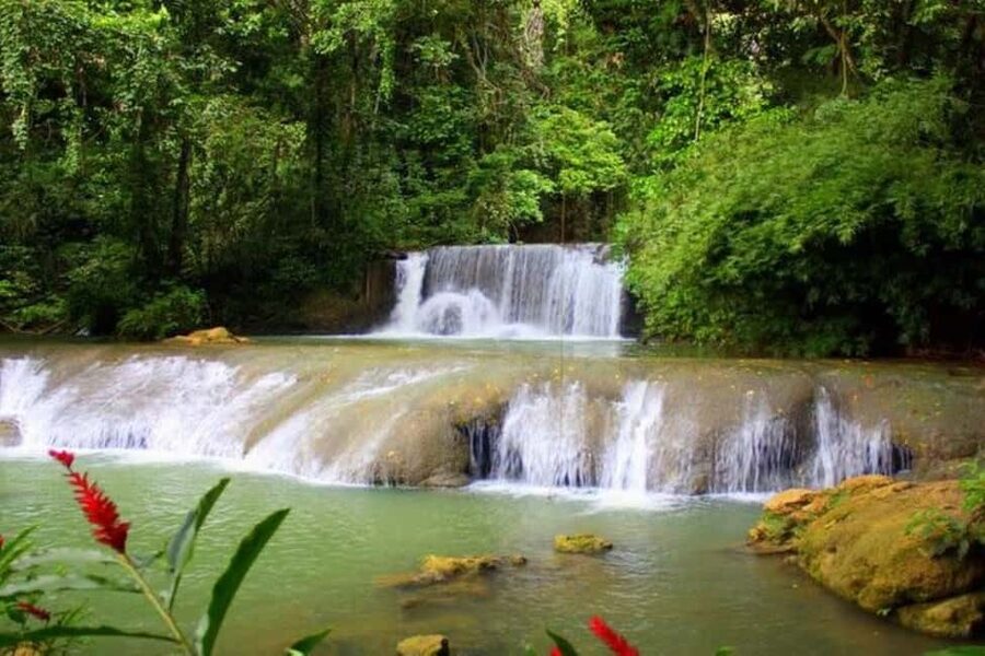 Montego Bay: YS Falls and Appleton Rum Private Tour by Van - A long but varied route from Montego Bay