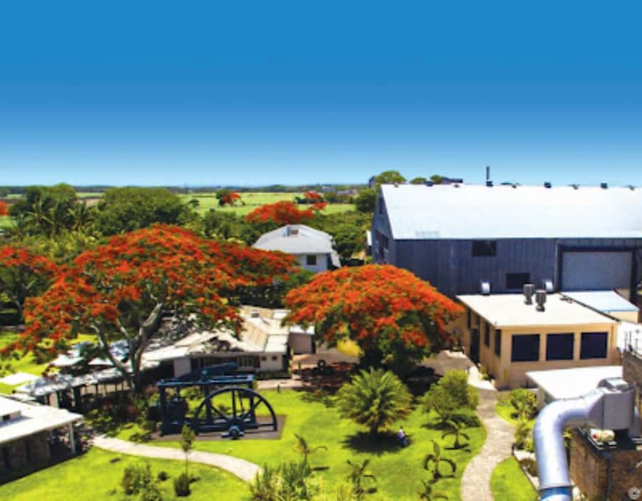 North Day Tour, Botanical Garden, Sugar Museum, Rum Tasting - Key points to know before booking