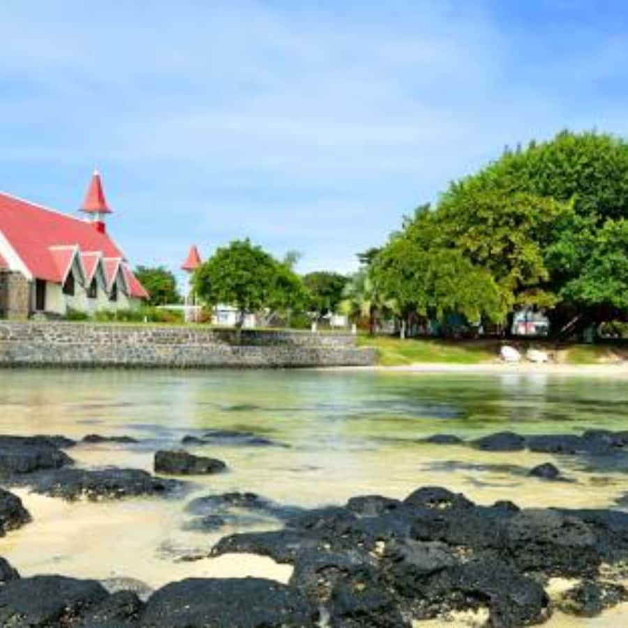 North Day Tour, Botanical Garden, Sugar Museum, Rum Tasting - Price, group size, and what you really pay