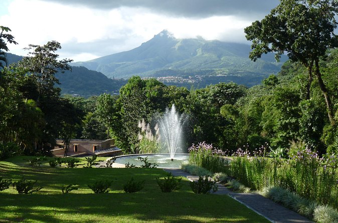 North Tour: rainforest, rum distillery, black sand beach etc - Domaine d’Emeraude: the day’s main nature stop