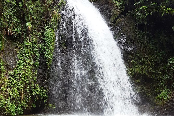 North Tour: rainforest, rum distillery, black sand beach etc - Depaz rum at the foot of Mount Pelée