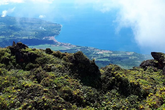 North Tour: rainforest, rum distillery, black sand beach etc - Starting at Balata’s small Sacré-Cœur