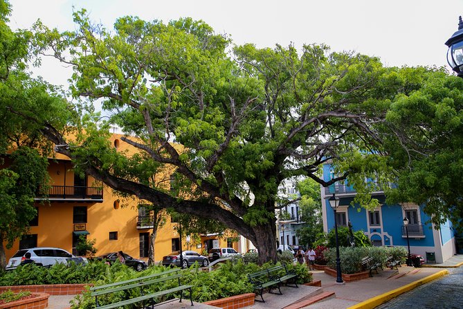 Old San Juan and Rum Factory Full-Day Tour: Minimum 8+ people - Who will get the most value from the $135 price
