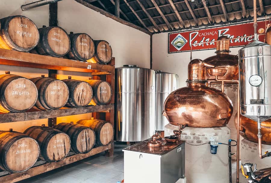 Paraty: Jungle Waterfalls and Cachaça Distillery Jeep Tour - What to bring for a comfortable day