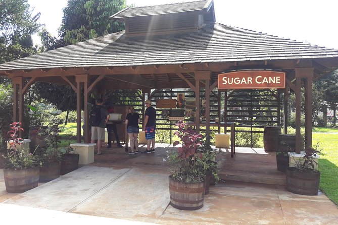 Private Appleton Estate Rum and Pelican Bar Tour from Montego Bay - What makes Pelican Bar different