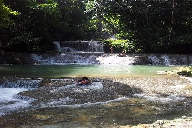 Private Appleton Estate Rum & YS Falls Tour from Montego Bay - What the $225 price really covers