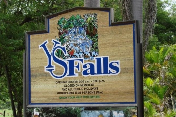 Private Appleton Estate Rum & YS Falls Tour from Montego Bay - Who should book this experience?