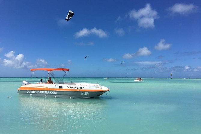 Private Aruba Snorkeling Excursion with Rum Punch - Marine life, turtles, and what you might see