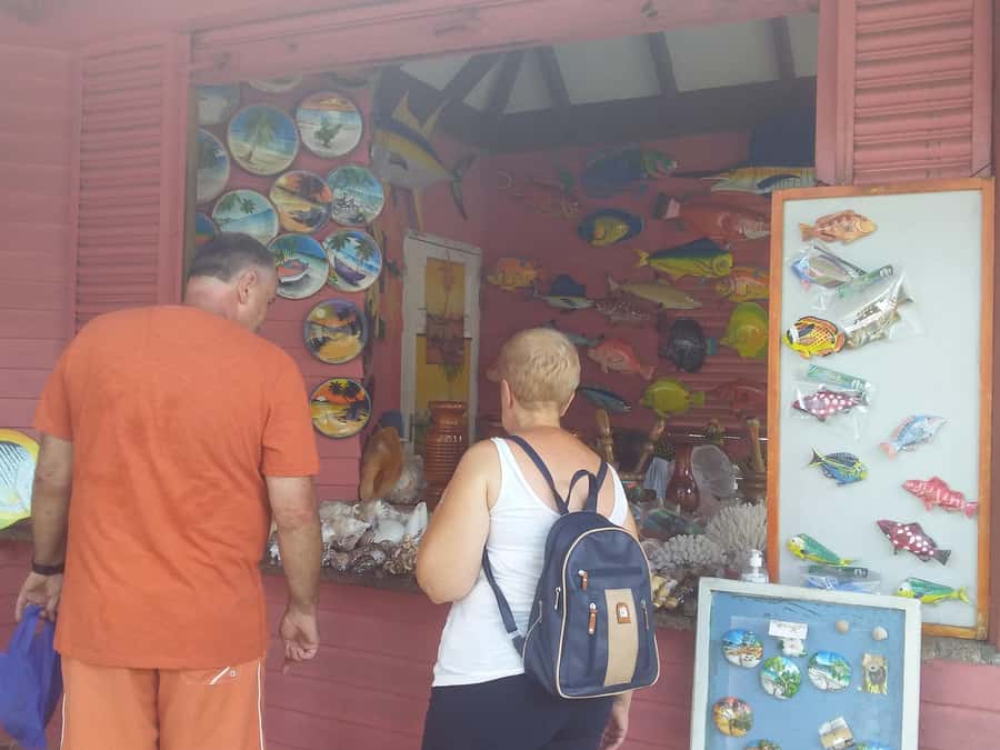 Private half day tour with free rum tasting - Five hours to get your bearings on Mahé