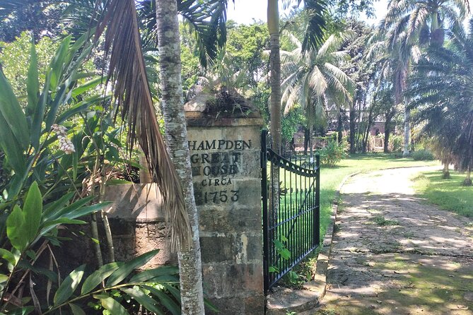 Private Hampden Estate Rum Tour from Montego Bay or Falmouth - Fermentation, distillation, and the high-ester style