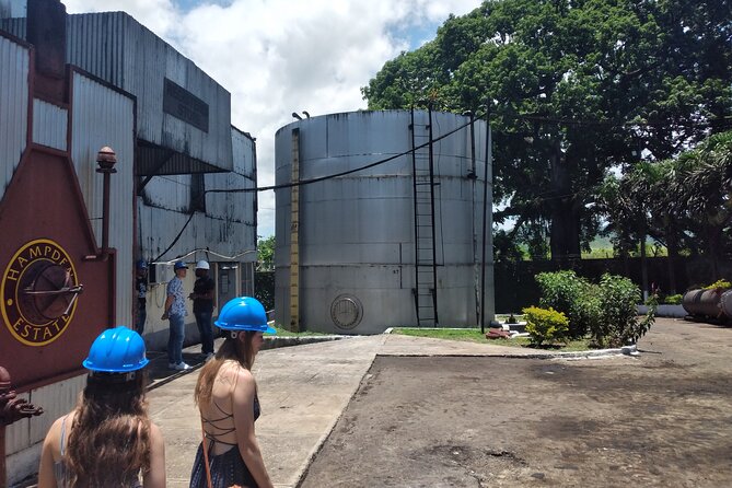 Private Hampden Estate Rum Tour from Montego Bay or Falmouth - Entering an estate connected to 1753