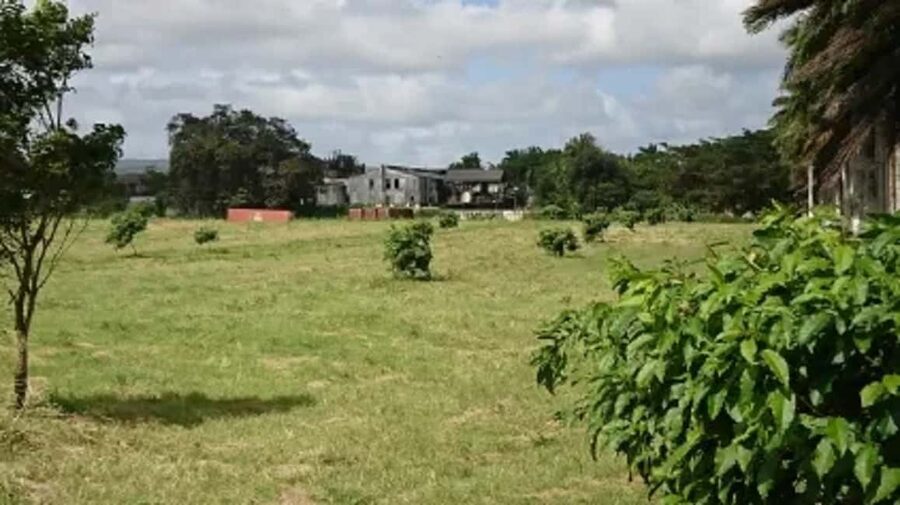 Private Hampden Estate Rum Trip from Montego Bay - Key points before you book