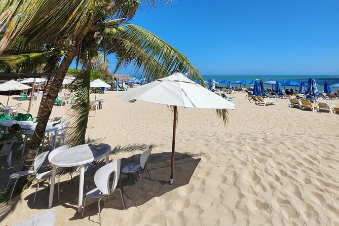 Puerto Plata City Highlights Rum y Umbrella St. and Beach - Macorix House of Rum and the included tasting