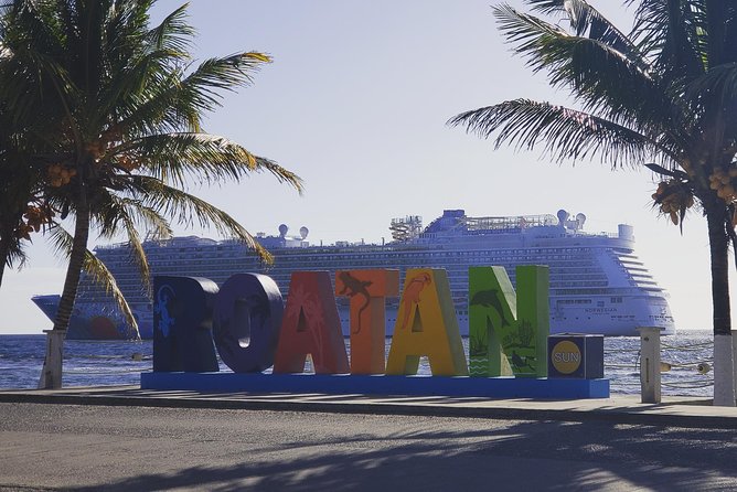 Roatan Monkey and Sloth Tour with Chocolate and Rum Factory - Roatan Monkey and Sloth Tour: Key Points