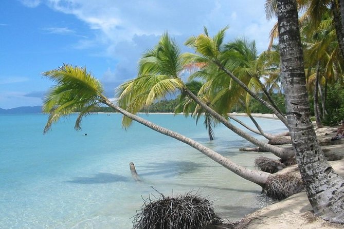 Rum and Salines paradise beach - Key Points Before You Book