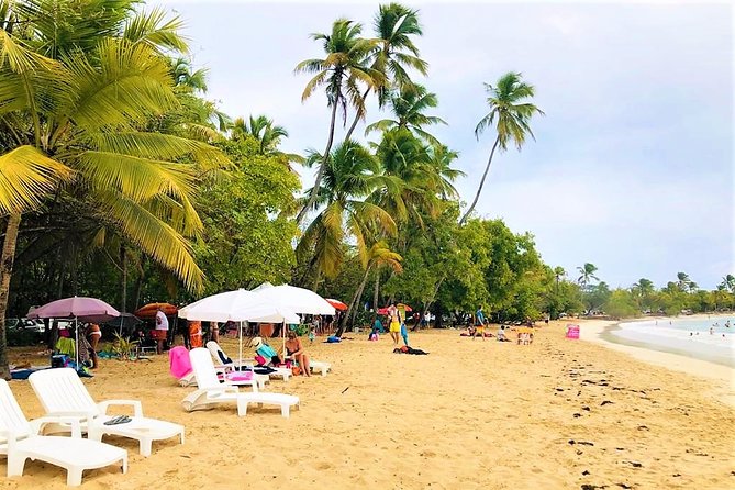 Rum and Salines paradise beach - What This Five-Hour South Martinique Tour Covers