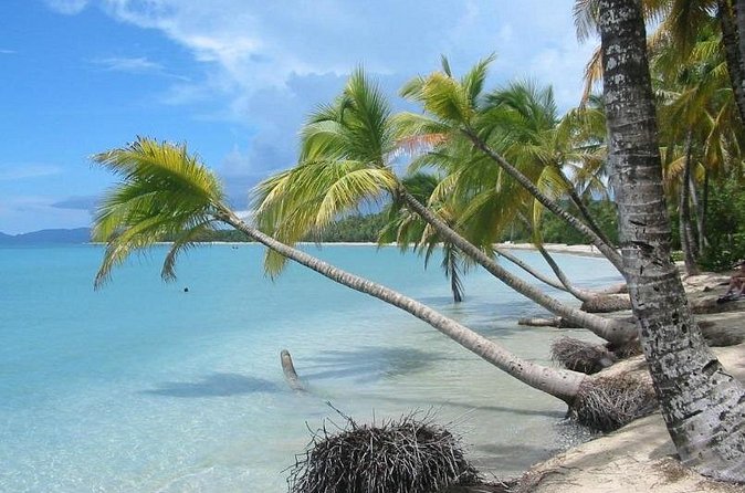 Rum and Salines paradise beach - Les Salines Beach: Beautiful, Public, and Not Fully Equipped