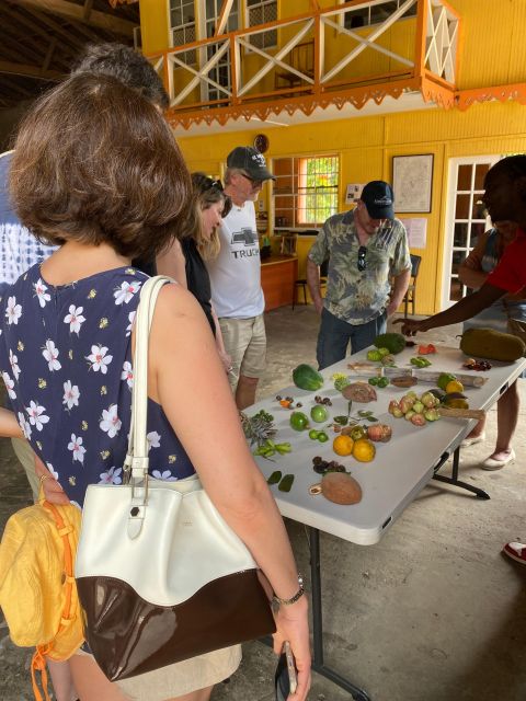 Rum Beer And Beach Tour - Who will enjoy this small-group outing