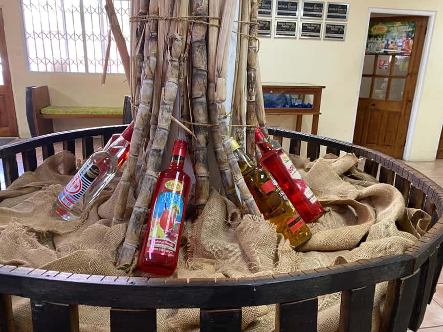 Rum Beer And Beach Tour - Starting in Saint George’s with a local driver