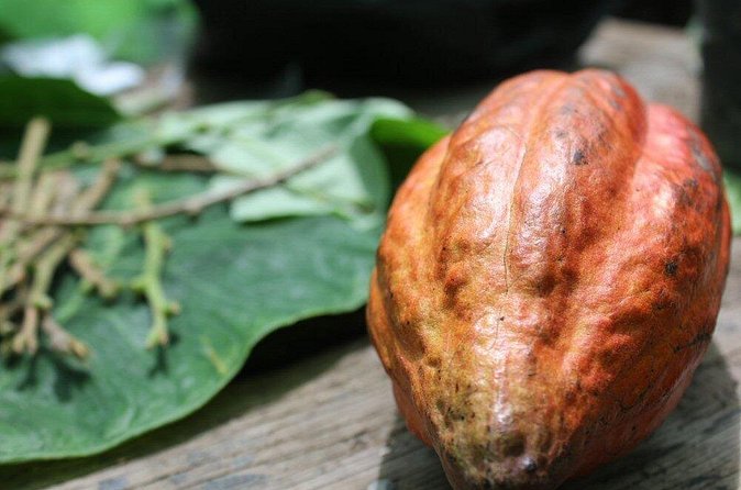 Rum & Chocolate Tasting Tour : Journey into Flavor - Why the private format may justify $175