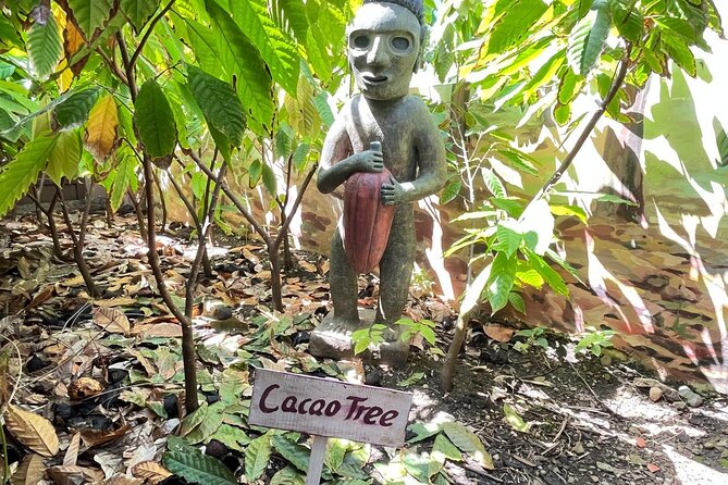 Sabor Dominicano: Rum, Chocolate and Culture Private Tour - Who Will Enjoy This Most