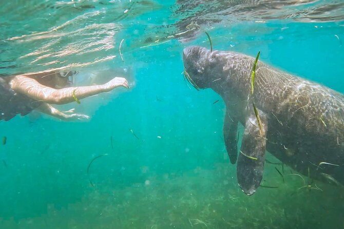 San Juan Snorkel with Turtles and Manatee's; Free Video and Rum! - Key Things to Know Before You Book