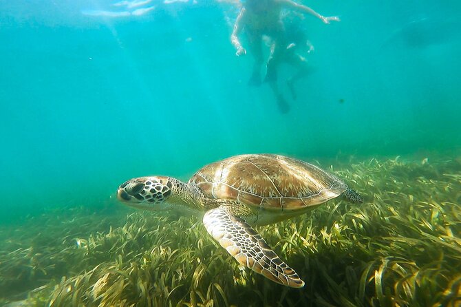 San Juan Snorkel with Turtles and Manatee's; Free Video and Rum! - Getting Fitted Before the Swim