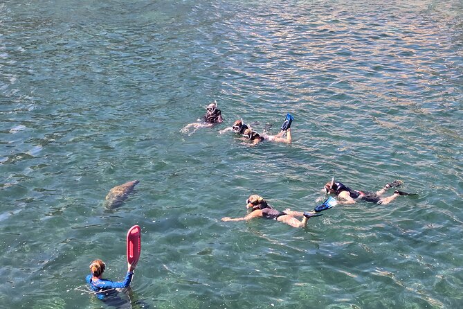 San Juan Snorkel with Turtles and Manatee's; Free Video and Rum! - What the Guides Add to the Experience