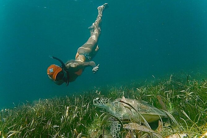 San Juan Snorkel with Turtles and Manatee's; Free Video and Rum! - Free Video and the Rum Sample