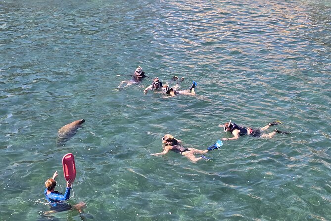 San Juan Snorkel with Turtles and Manatee's; Free Video and Rum! - Swimming Into the Marine Sanctuary