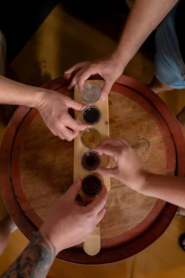 Sarina: Rum Distillery Guided Tour and Tasting - What happens during the 30-minute session