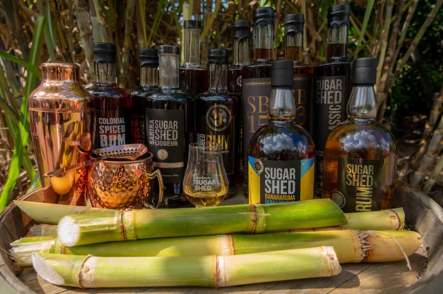 Sarina: Rum Distillery Guided Tour and Tasting - Cancellation and planning details